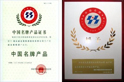 China top award.jpg