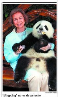 Te alegras de verme o es que llevas puesto un panda?