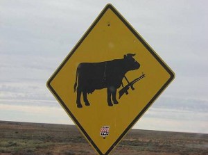 vacas peligrosas.jpg